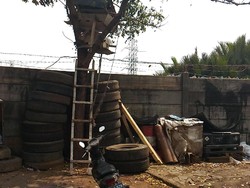 Serangan Monyet di Cilincing, Bisri Digigit Saat Tidur di Truk