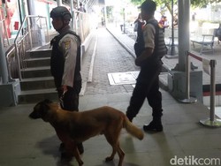 Angkutan Lebaran 2017, PT KAI Daop 6 Dibantu 2 Anjing Pelacak