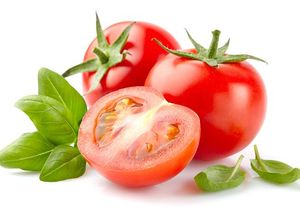 Tomat Bisa Bikin Mr P Tambah Besar, Mitos atau Fakta?