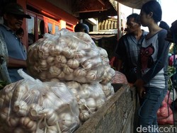 Tekan Harga, 1.000 Ton Bawang Putih Akan Digelontorkan ke Pasar