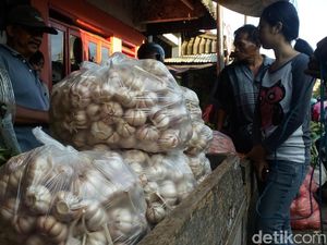 Harga Bawang Putih Naik Terus Sejak Awal Tahun Harga Bawang Putih Naik Terus Sejak Awal Tahun