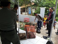21 Satwa Liar Diamankan dalam OTT BKSDA Jabar di Cianjur