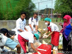 Sudin KPKP Temukan 101 Ayam Potong Busuk di Cakung