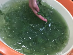 Daripada Beli, Ikuti Cara Praktis Bikin Cendol Sendiri
