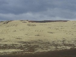 Kelewatan, Traveler Ukir Tulisan Tak Senonoh di Bukit Islandia