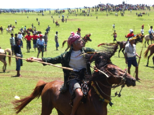 Yuk Berkuda Bersama 1.001 Kuda Sandelwood di Sumba