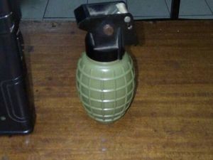 2 Siswa Secaba TNI Terkena Ledakan di Tempat Latihan Lempar Granat