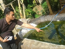 Lepas dari Pengawasan, Bocah 1,7 Tahun Tewas Tercebur Kolam Ikan