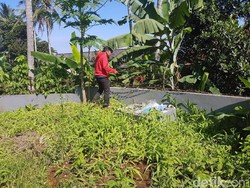 Ini Tembok yang Dilompati Abdul Saat Kabur dari PN Sukabumi