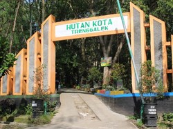 Liburan Murah Saat Mudik di Trenggalek: Hutan Kota