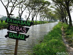 Mampir ke Kendal, Lihat Irigasi Indah dan Lumba-lumba