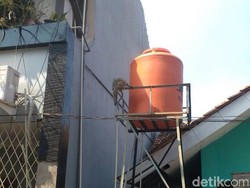 Damkar Evakuasi Monyet Liar yang Masuk Permukiman Warga Cipayung