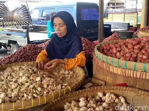 Bawang Putih Jenis Kating Mulai Langka di Yogyakarta