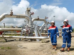 Pertamina Belum Punya Mitra untuk Kelola Blok Mahakam