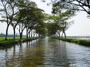 Keluar Kota Sejenak, Kendal Punya Tempat Paling Kekinian