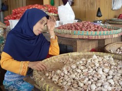 Bawang Putih di DKI Rp 80.000/Kg, Begini Rantai Distribusinya