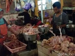 Mau Impor Daging Ayam Brasil, Pemerintah Harus Batasi Peredaran Mau Impor Daging Ayam Brasil, Pemerintah Harus Batasi Peredaran