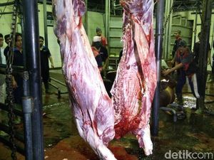 RI Mau Impor Daging Sapi Brasil, Jadikah? Ini Kata Kementan
