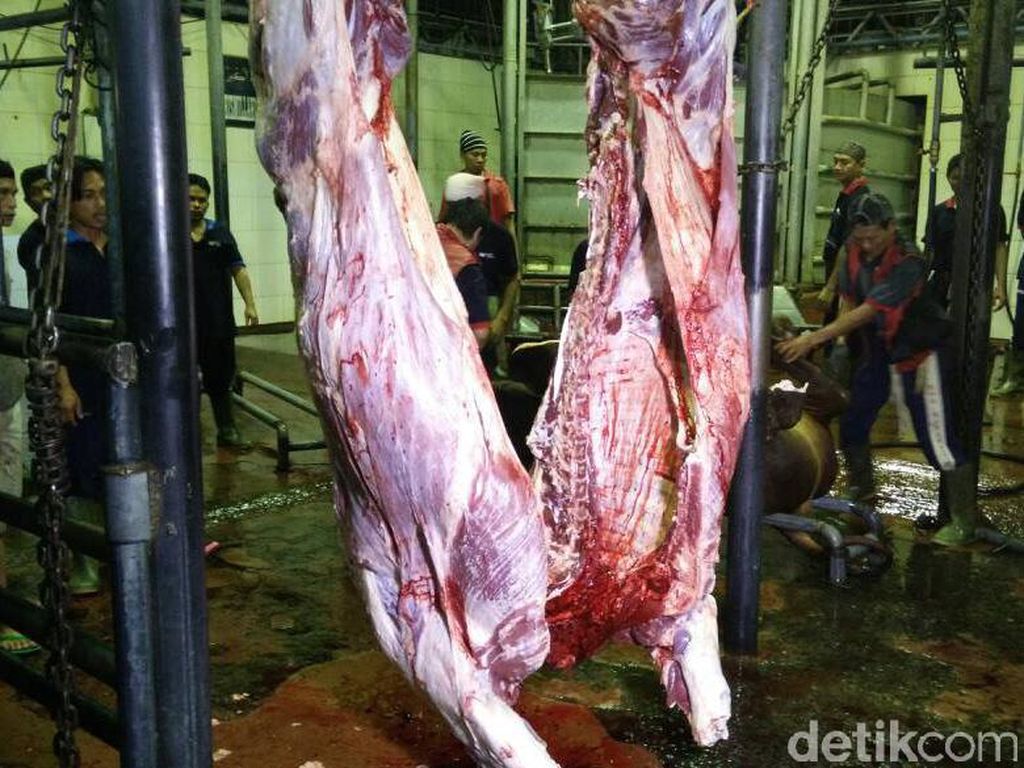 RI Mau Impor Daging Sapi Brasil, Jadikah? Ini Kata Kementan RI Mau Impor Daging Sapi Brasil, Jadikah? Ini Kata Kementan