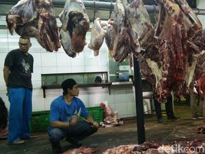 Jaga Ketersediaan Daging Sapi, 36 Feedloter Diawasi Ketat