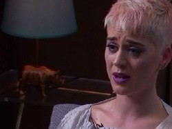 Jelang Lahiran, Katy Perry Sedih Kucing Kesayangannya Mati