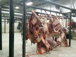 Mendekati Lebaran, Permintaan Daging Sapi Naik 4 Kali Lipat