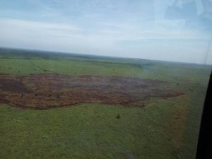 3 Provinsi Siaga Darurat Karhutla, BNPB Kerahkan 12 Helikopter