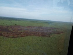 3 Provinsi Siaga Darurat Karhutla, BNPB Kerahkan 12 Helikopter