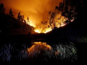 Kebakaran Hutan di Portugal Menewaskan 62 Orang