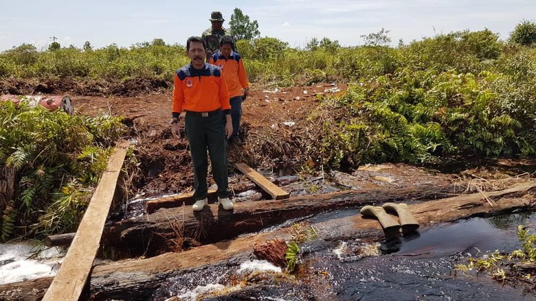 Hutan dan Lahan Terbakar di Riau Mencapai 549 Hektare
