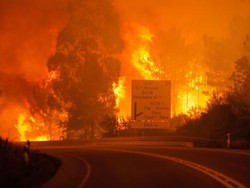 Kebakaran Hutan Dahsyat Terjadi di Portugal, 62 orang tewas