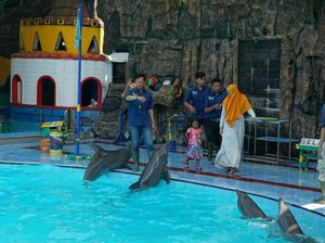 Mudik ke Kendal, Bisa Lihat Lumba-lumba yang Lucu