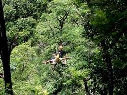 Cuma di Thailand, Bisa Bergelantungan Bebas Seperti Hanoman