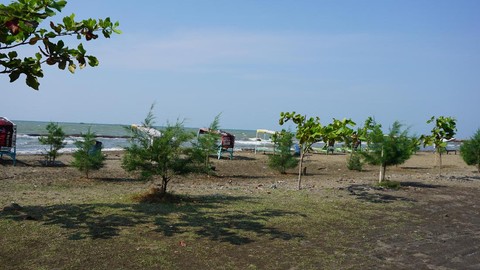image jalur mudik