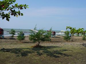 Leha-leha Habis Salat Ied, Pantai Sigandu Batang Bisa Jadi Pilihannya! Leha-leha Habis Salat Ied, Pantai Sigandu Batang Bisa Jadi Pilihannya!