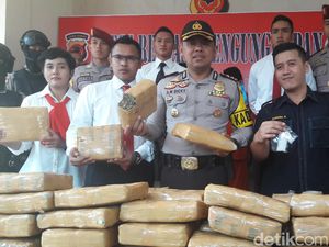 Polisi Gerebek Kontrakan di Cileungsi, 132 Kg Ganja Disita