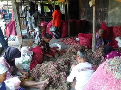 Harga Bawang Merah Mulai Ikut  Naik di Bantul