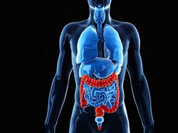 Deteksi Dini Kanker Usus Besar dengan Endoskopi