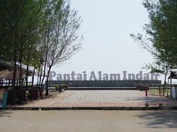 Momen Menegangkan 3 Bocah Tegal Hanyut ke Laut Saat Asyik Main Kasur Bekas