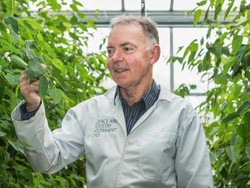 Pecahkan Misteri Pola Awan dan Angin, Ilmuwan Australia Raih Kyoto 2017