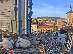 Gara-gara Burung, Kota di Spanyol Ini Malah Ramai Turis