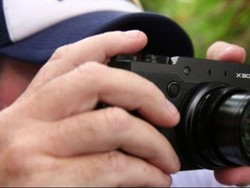 Aktivis Hewan Australia Selidiki Perdagangan Daging Anjing di Bali