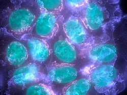 Riset Terbaru Perjelas Risiko Kanker Payudara