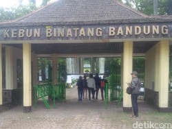 Libur Lebaran, Harga Tiket Masuk Kebun Binatang Bandung Naik