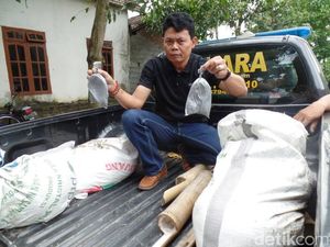 100 Kg Bahan Peledak Ditemukan Tergeletak di Halaman Rumah Kosong