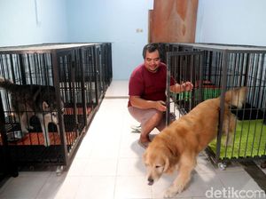 Jasa Penitipan Hewan Raup Rp 30 Juta Jelang Lebaran