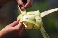 Inilah 12 Bentuk Ketupat Asli Indonesia