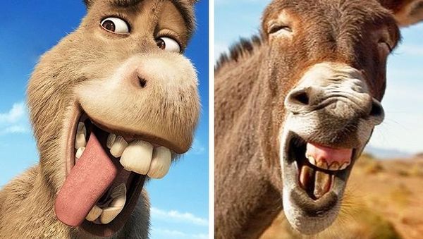 Lucu! Karakter Animasi vs Hewan Asli di Dunia Nyata