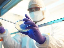 Gambaran Tes Besar-besaran Corona di Korsel yang Terbukti Efektif