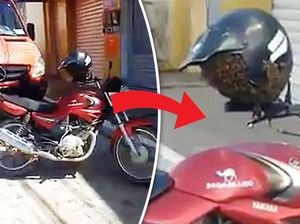 Helm Ini Dikerubungi Tawon Saat Ditaruh di Kaca Spion